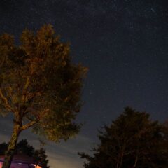 冬キャンプの方が快適と聞きますが？？