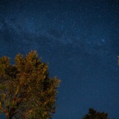 初めてのブログ