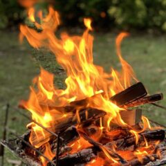 夏キャンプはオススメできない？？