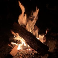 キャンプって何をするの？？