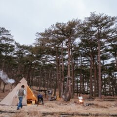 薪ストーブの手入れって面倒ですか？？