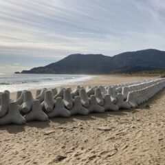 自然とは？？人間だけのものではない。