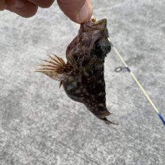 キャンプで防災訓練？　⑵