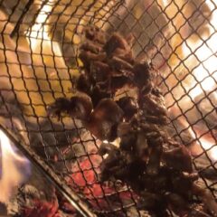 焚き火料理のおすすめは？