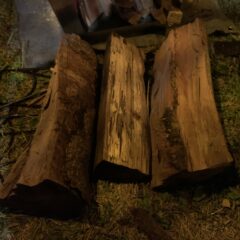 焚き火に適した薪とは？