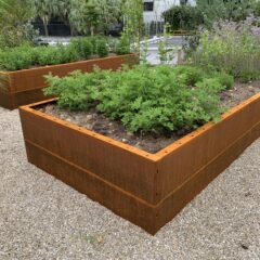 アイアンと植物の可能性とは？