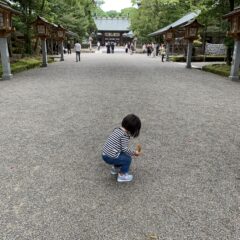 ５月スタート！