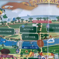 今何かと話題の青島にあるこどもの国って？