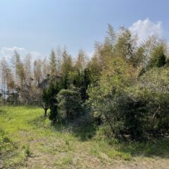 プライベートキャンプ場？？