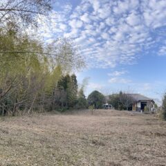 キャンプに適した季節は？