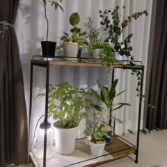 オーダーアイアンラックのその後